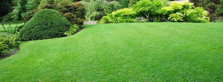 shutterstock-109311986